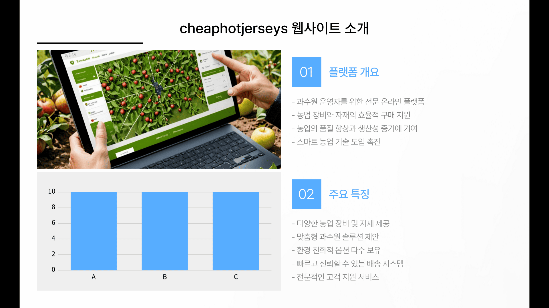 cheaphotjerseys 웹사이트